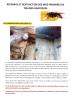 Repérage et destruction des nids primaires de frelons asiatiques